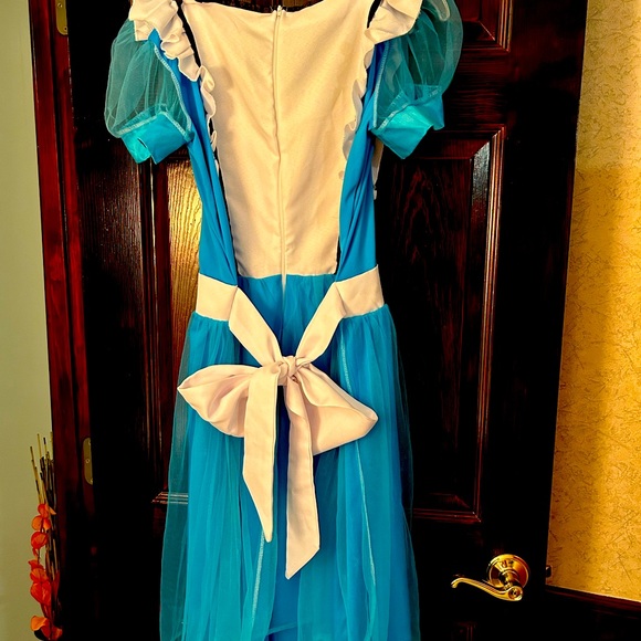 Alice in Wonderland Dress Ladies M/L - Picture 3 of 6